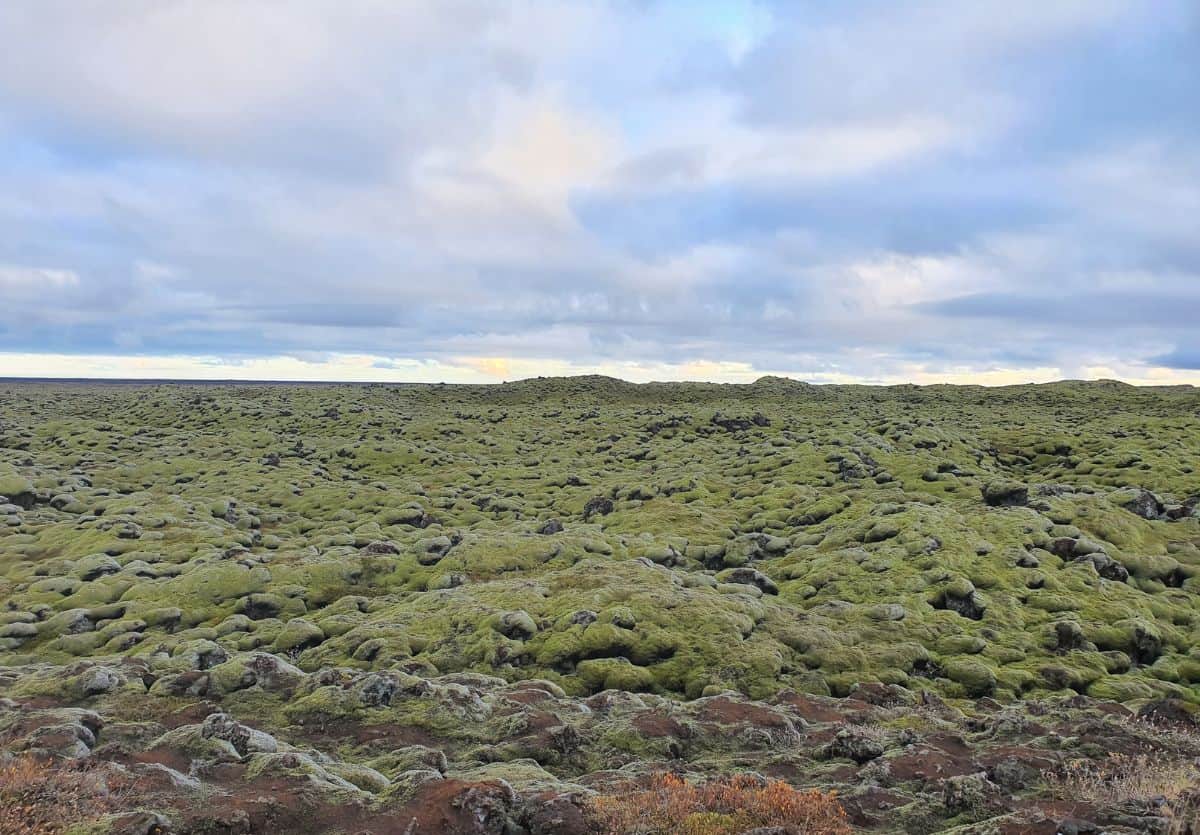 Moss covered lava field with low hanging clouds in Iceland