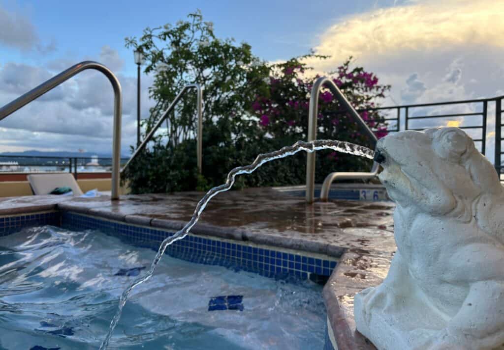 The rooftop pool with a frog fountain at El Convento