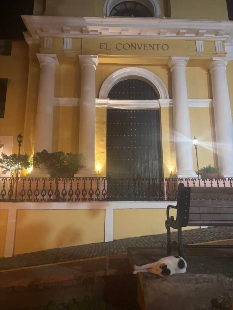 A cat lounging at night outside El Convento