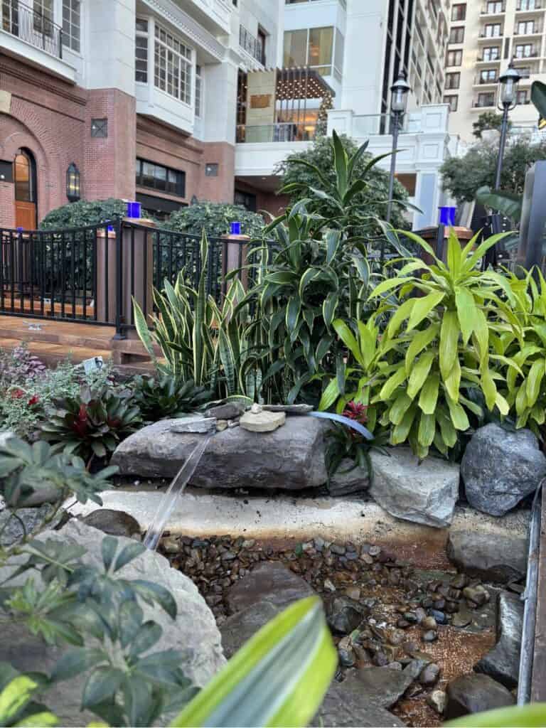 Lush greenery and a small fountain in the atrium of the Gaylord