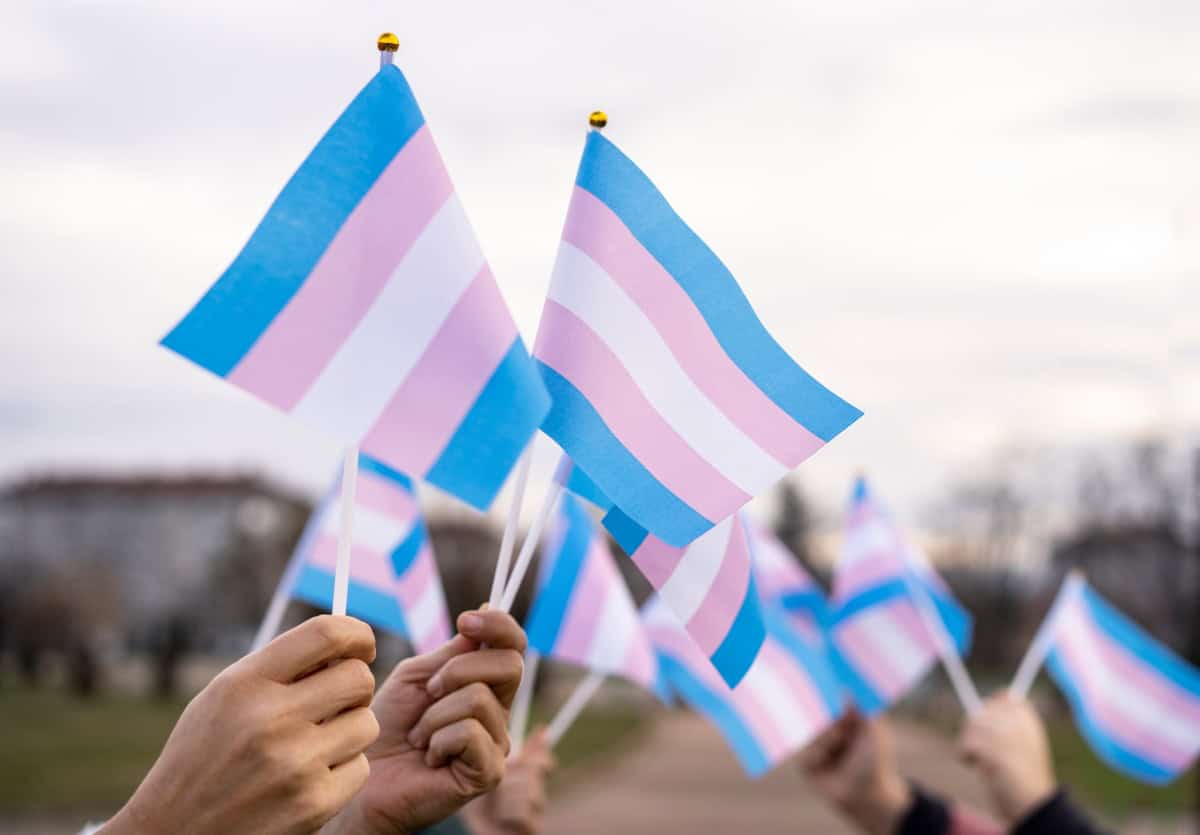 Group of People Holding Transgender Flags Outdoors